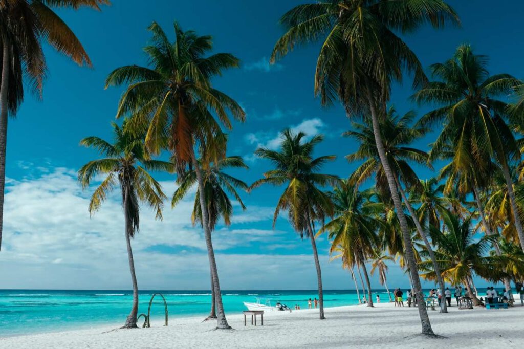 Palm trees and white sand at El Canto Beach, Saona Island